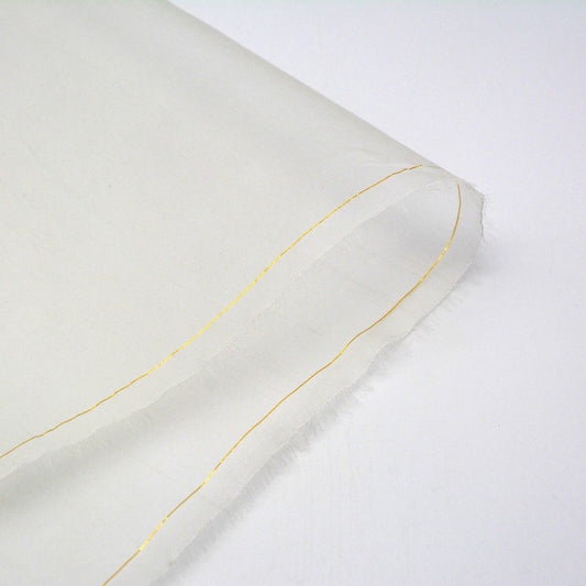 Silk Organza Woven