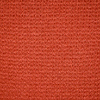 Paris Ponte Knit