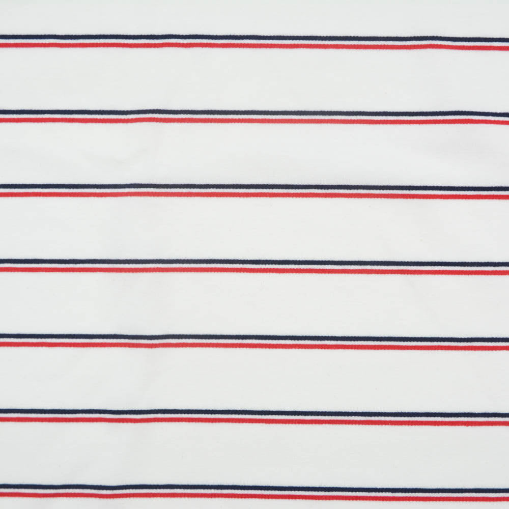 Apollo Stripe Cotton Jersey Knit