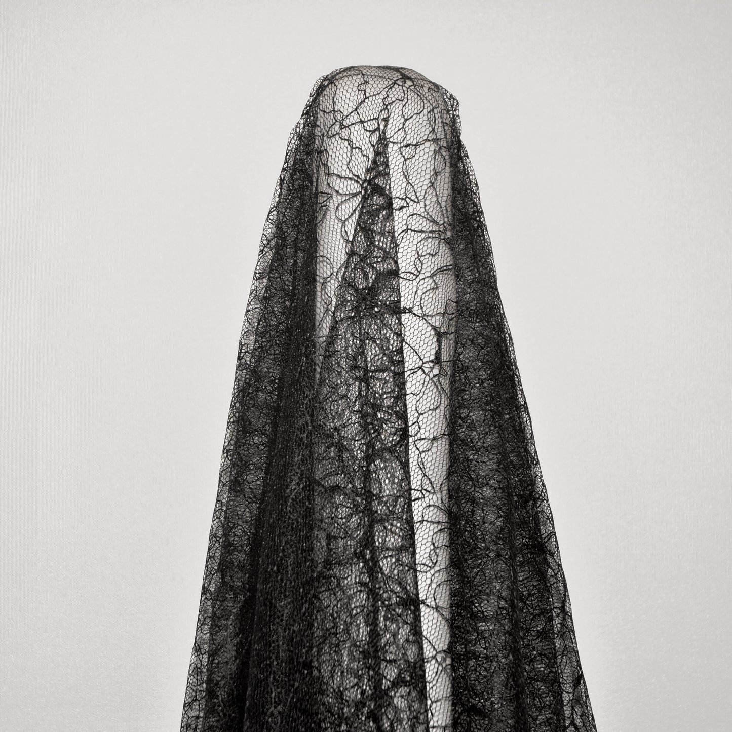 Wispy Polyester Lace