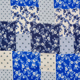 Baby Blue Printed Cotton Woven