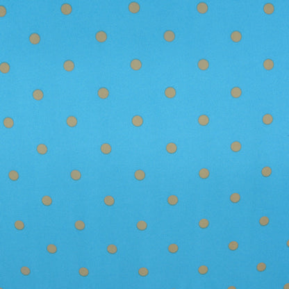 Blue Aria Polyester Jersey