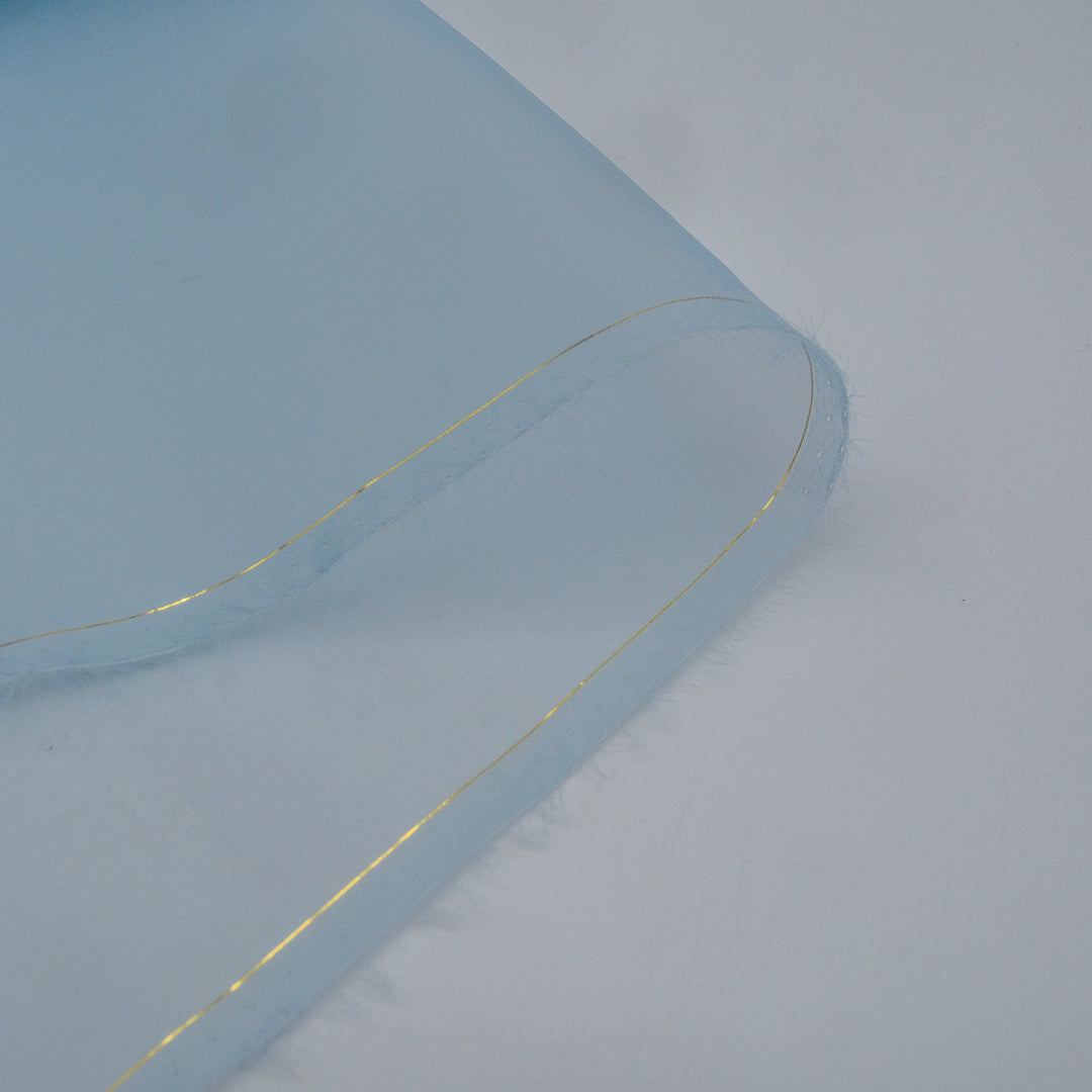 Silk Organza Woven