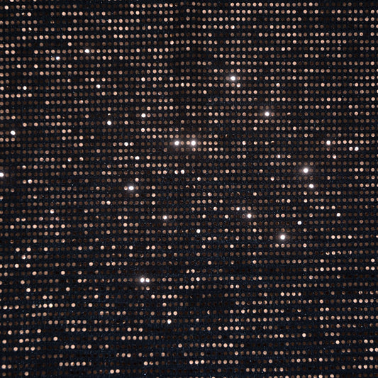 Griffin Bronze Foil Sequin Knit