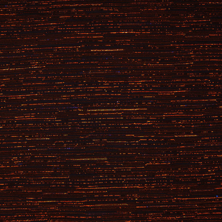 Jupiter Metallic Knit