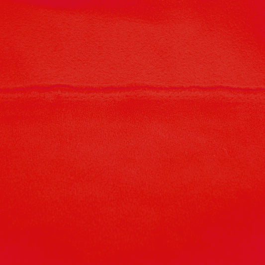 Red Polar Fleece